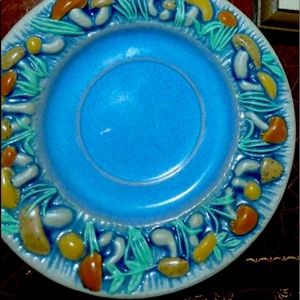 Mushroom 🍄 collectors plate